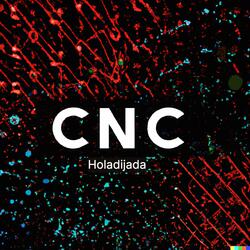 Holadijada