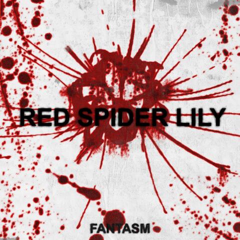 RED SPIDER LILY