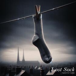 Lost Sock
