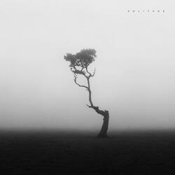 Solitude