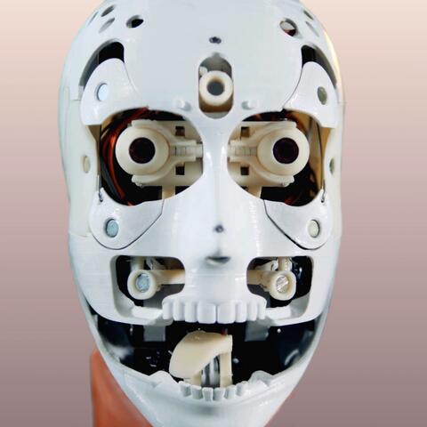Terminateur