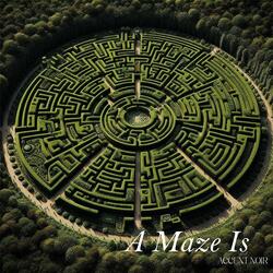 A Maze IS