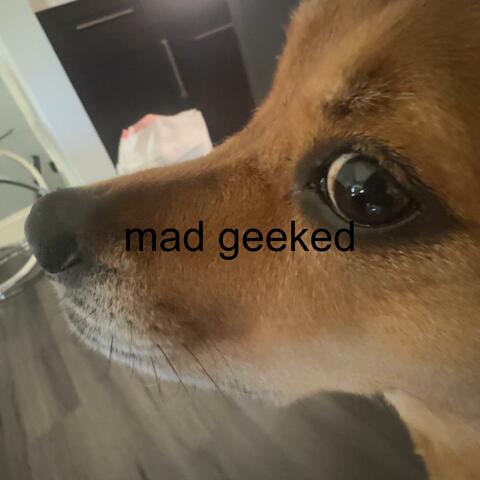MAD GEEKED