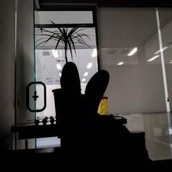 Eu te Quero  Aqui Pra Mim