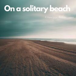 On a solitary beach