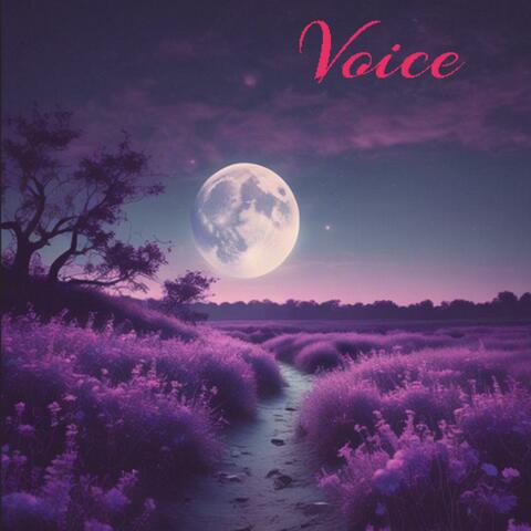 Voice
