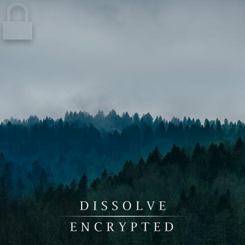 Dissolve