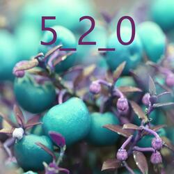 5_2_0