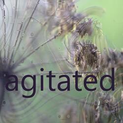 Agitated