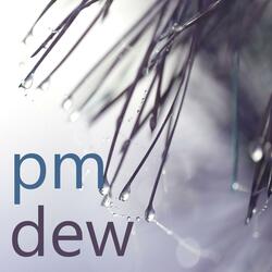PM Dew