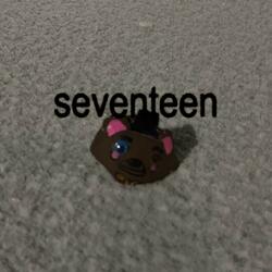 seventeen