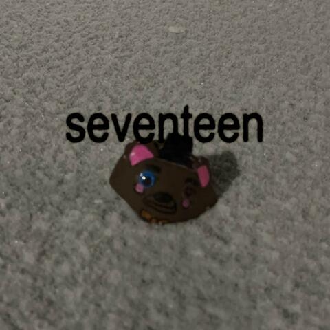 seventeen