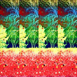 Enigma Elevation 1
