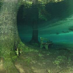Submerged