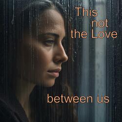 This not the love between us