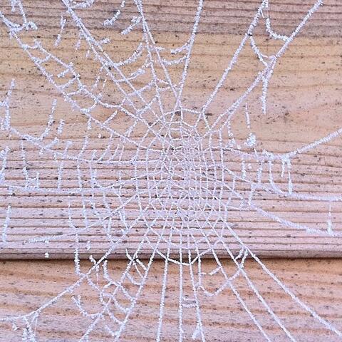 Winter Incidents 2023