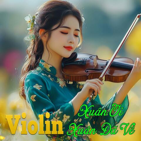 Xuân Ơi Xuân Đã Về Violin