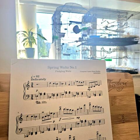 Fledgling Waltz / Spring Waltz No.1