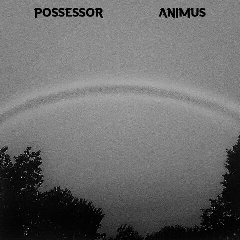 Animus