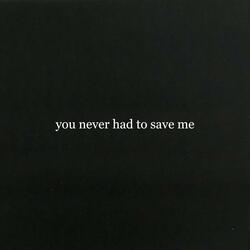 you never had to save me