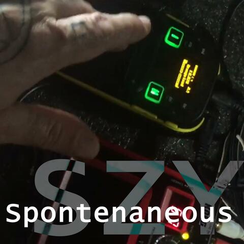 Spontaneous
