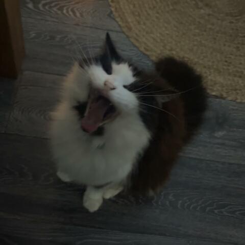 What's One More Reason To Leave?