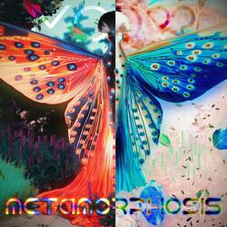 METAMORPHOSIS