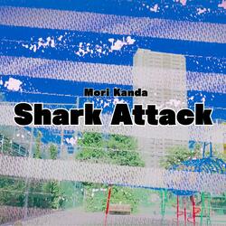 Shark Attack - Tabor Pipe,Ovation Applause UA20 Ukulele,Customized Mridangam,