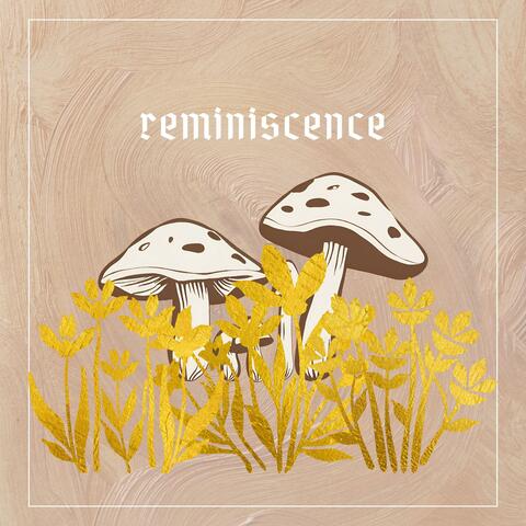 reminiscence