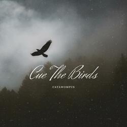 Cue The Birds