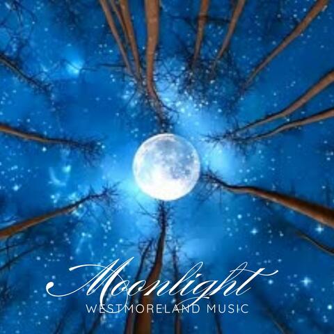 Moonlight