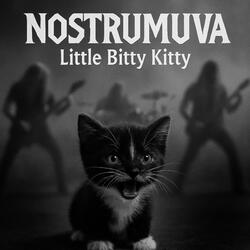 Little Bitty Kitty