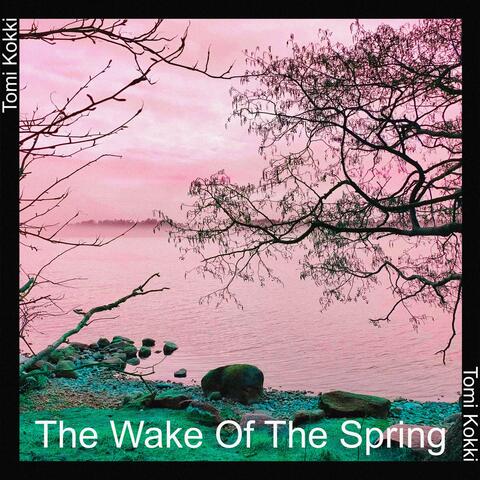 The Wake of the Spring