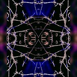 Not The Same Anymore