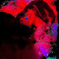 What's Your Intention