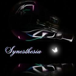 Synesthesia