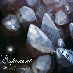 Exponent