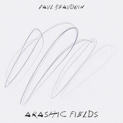 akashic fields