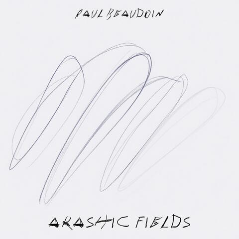 akashic fields