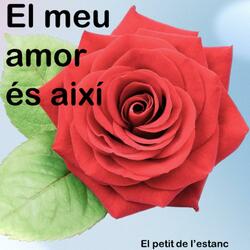 El meu amor és així