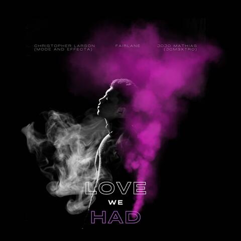 LOVE WE HAD