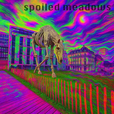 Spoiled meadows