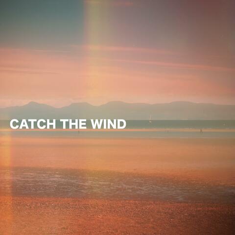 Catch the Wind