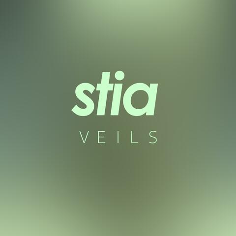 VEILS
