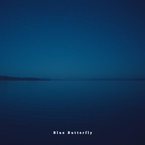 Blue Butterfly