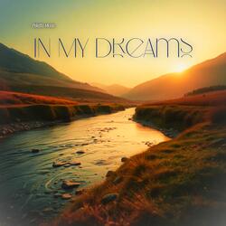 In my dream