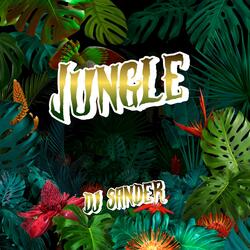 Jungle