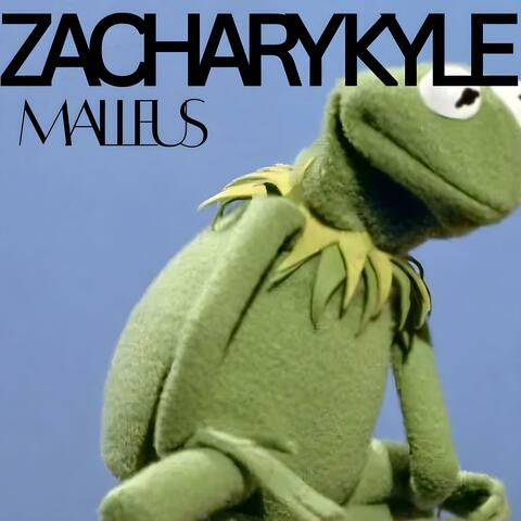 Malleus