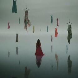 Quiet Reflections