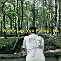 Won't Let You Forget Me